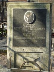 Члек Александр Шлемович, Москва, Востряковское кладбище